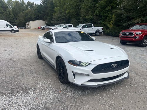 2019 Ford Mustang EcoBoost