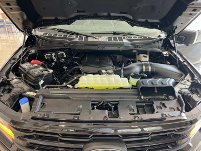 2026 Ford F-150 XLT 4WD SUPERCREW 5.5' BO PUG PERFORMANCE