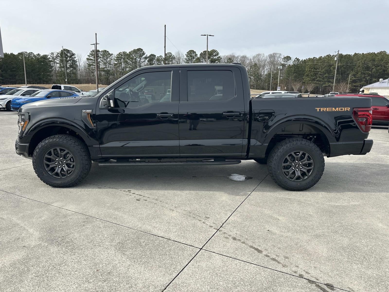 2025 Ford F-150 TREMOR 4WD SUPERCREW 5.5'